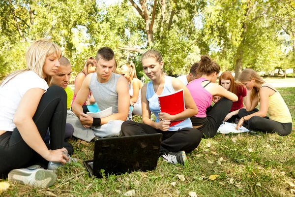 Studenten leren in park, teamwerk — Stockfoto