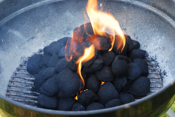 Ogień Barbeque — Zdjęcie stockowe