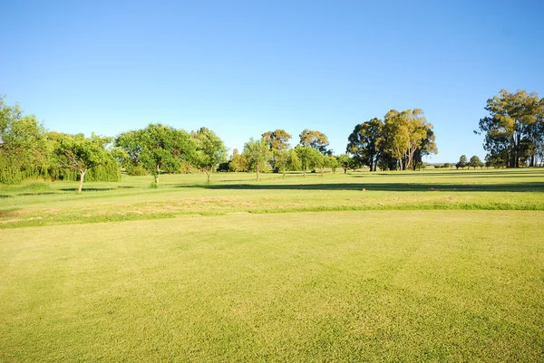 Golf green — Stock Photo, Image