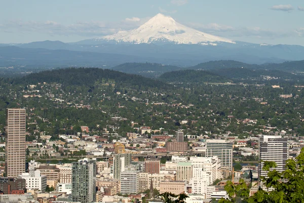 Portland oregon cityscape mount hood ile — Stok fotoğraf