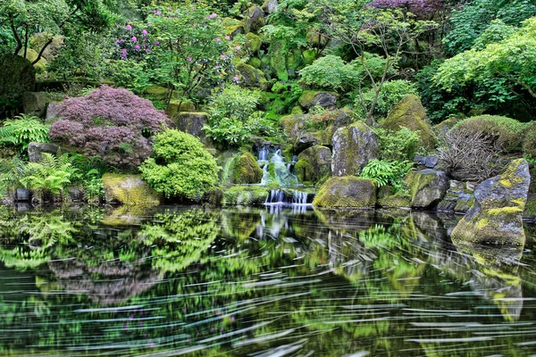 ポートランド日本庭園での滝 — ストック写真