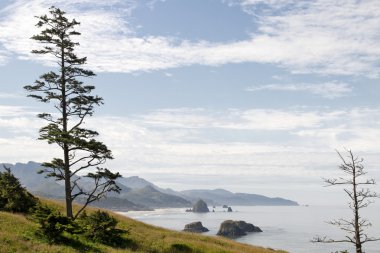 Cannon Beach at Ecola State Park clipart