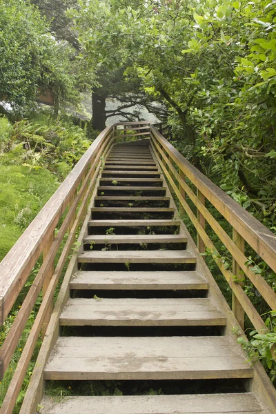 Holztreppe am Wanderweg senkrecht — Stockfoto