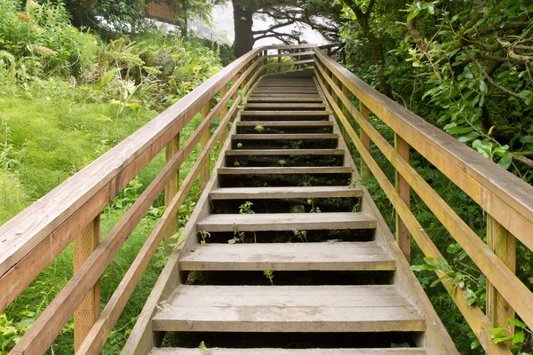 Holztreppe am Wanderweg — Stockfoto