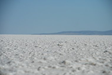 Salt lake clipart