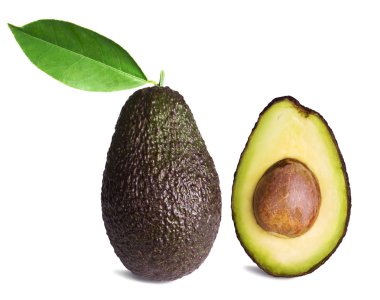 Avocado clipart