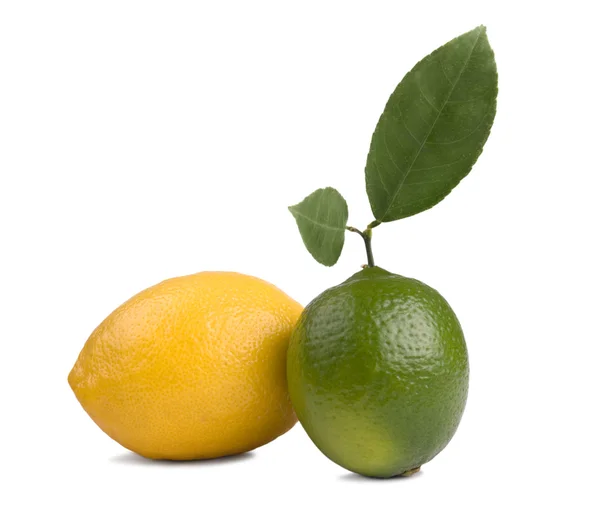 レモンとライム — ストック写真