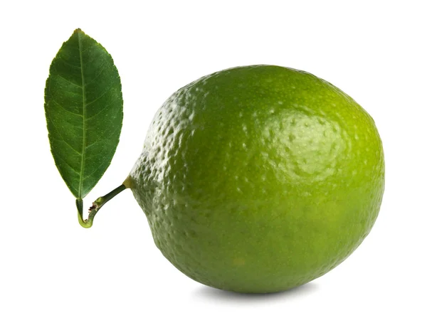 Fresh Lime — Stock Photo, Image