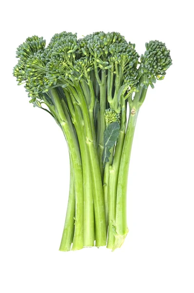Baby brokolice — Stock fotografie