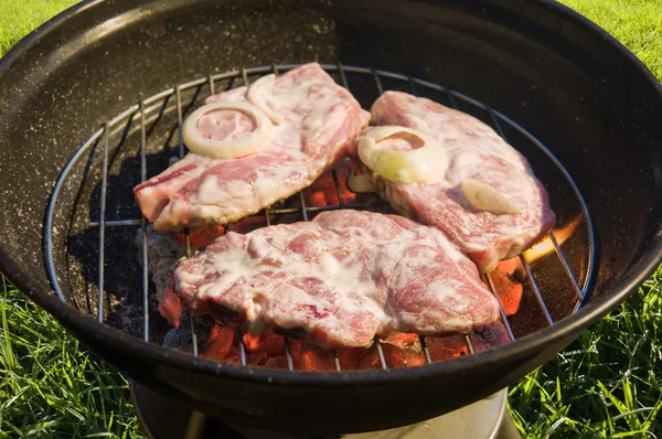 Barbecue grill — Stock Photo, Image