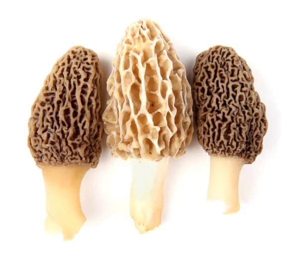 Three gray and yellow morel mushrooms isolated on white — Stock Photo, Image