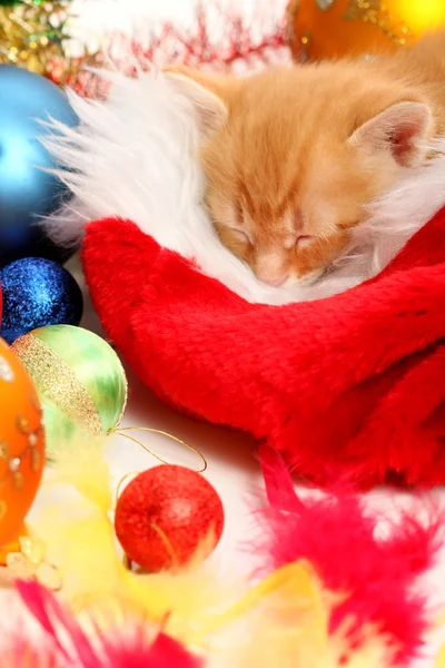 Small kitten and christmas ornaments — Stock Photo, Image