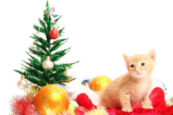 Mały kotek i świąteczne ozdoby — Zdjęcie stockowe