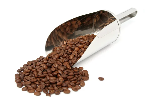 The fried grains of coffee and metal scoop — Stock Photo, Image
