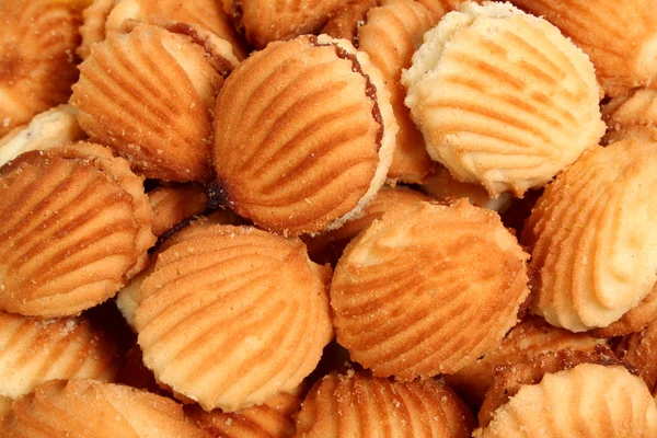 Biscuits farcis aux fruits sous forme de coquillages de mer — Photo