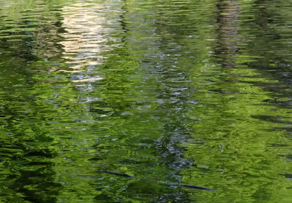 Абстрактный фон пруда — стоковое фото
