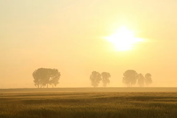Paisaje rural al amanecer —  Fotos de Stock
