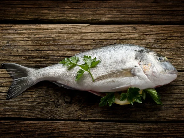 Gilthead over wood ready to cooking — Stock Photo, Image