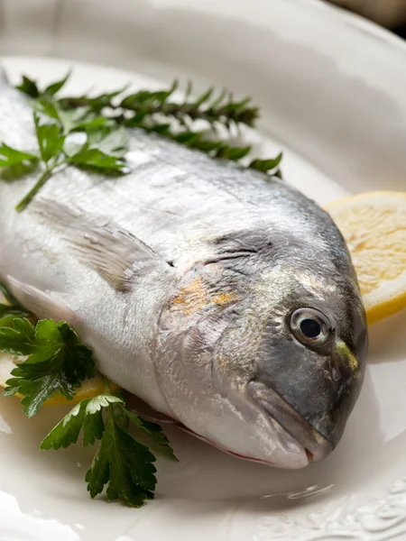 Gilthead over dish ready to cooking — Stock Photo, Image