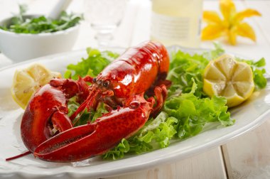 Whole lobster with salad clipart
