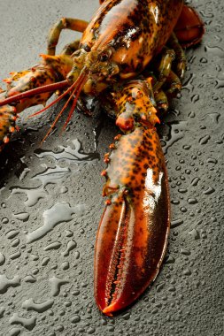 Raw lobster over black stone clipart