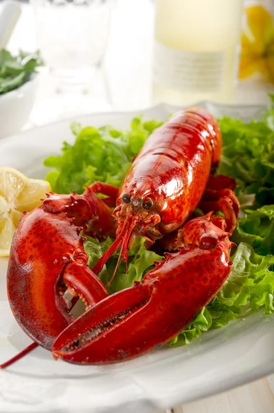 Whole lobster with salad — Stock Photo, Image