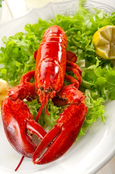 Whole lobster with salad — Stock Photo, Image