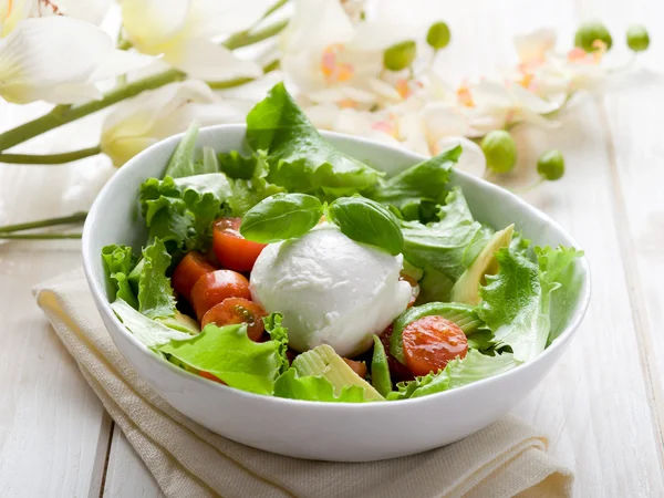 Ganze Mozzarella mit grünem Salat, Tomaten und Avocado — Stockfoto