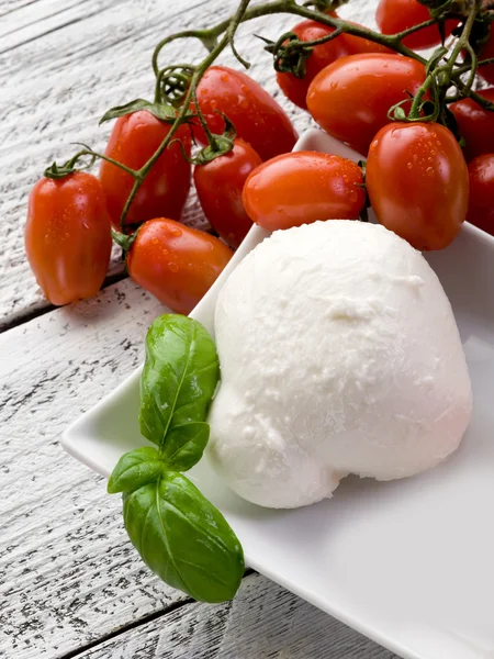 Mozzarella und Tomaten-Mozzarella e pomodoro — Stockfoto