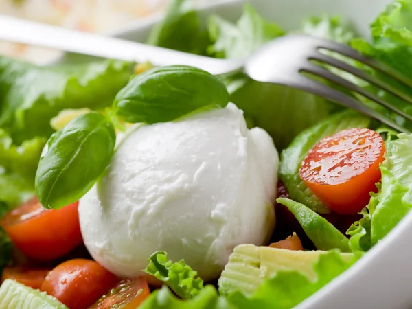 Mozzarella entière avec salade verte, tomates et avocat — Photo