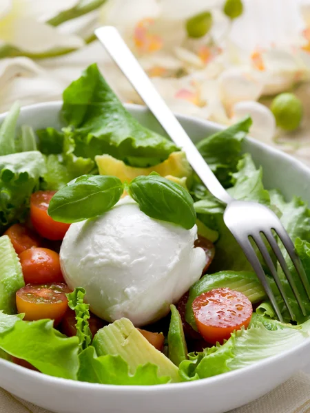 Mozzarella integrală cu salată verde, roșii și avocado — Fotografie, imagine de stoc