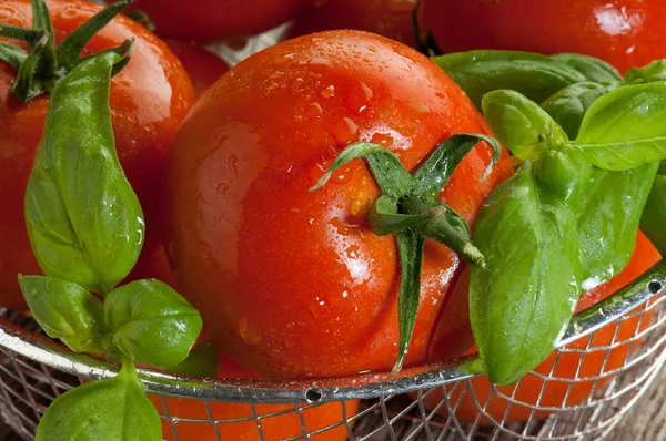 Ahşap arka plan domates — Stok fotoğraf