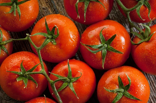 Group of tomatoes — Stock Photo, Image