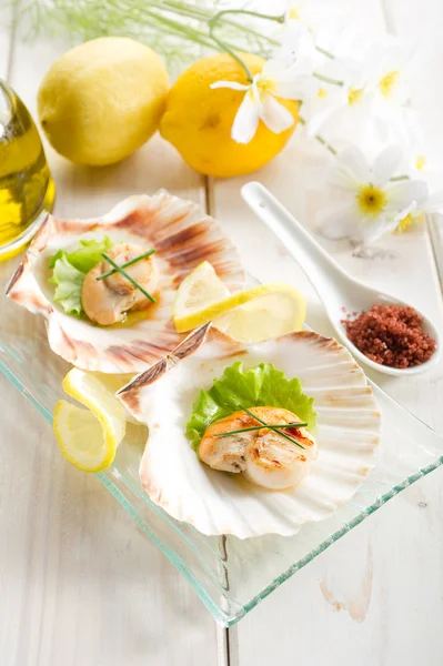 Grilled scallop — Stock Photo, Image