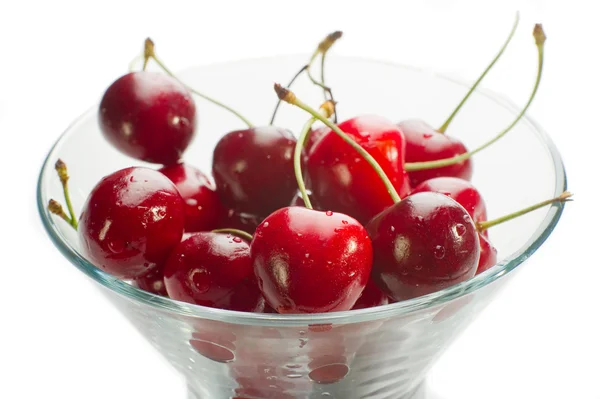 Cherry on white — Stock Photo, Image