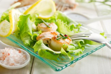 Scallop with green salad