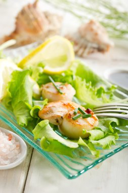 Scallop with green salad