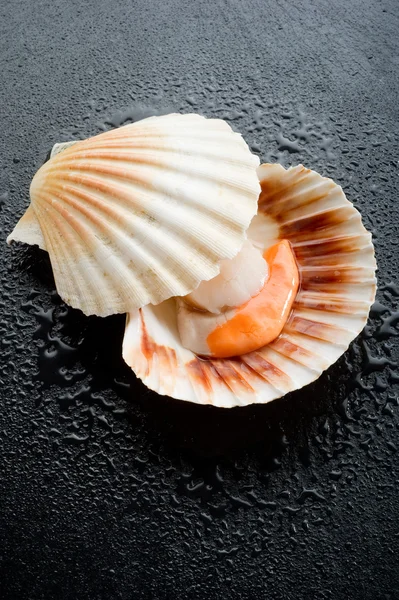 stock image Raw scallop on black stone background