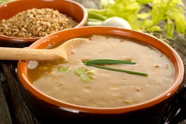 Спельтский суп — стоковое фото