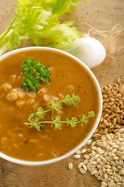 Spelt soup — Stock Photo, Image