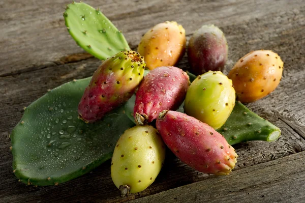 Prickly pear-fico d'india — Stock Photo, Image