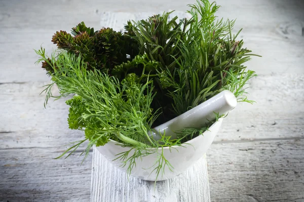 Aromatyczne zioła na zaprawy erbe e mortaio — Zdjęcie stockowe