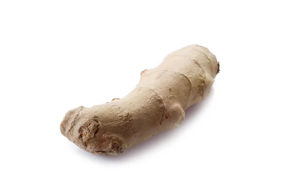 Ginger on white — Stock Photo, Image