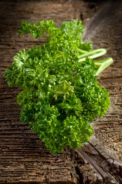 Curly parsley-prezzemolo riccio — Stock Photo, Image