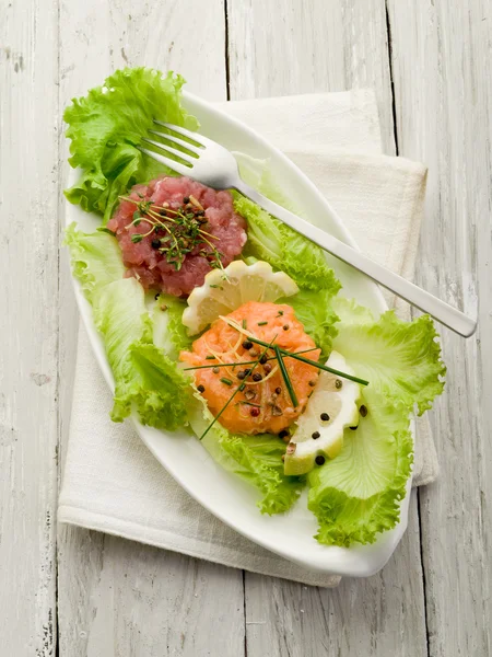 Salmon and tuna tartare with green salad — Zdjęcie stockowe