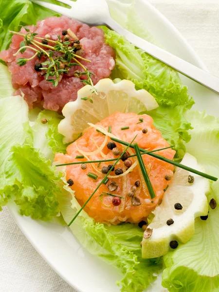 Yeşil salata somon ve ton balıklı tartar — Stockfoto