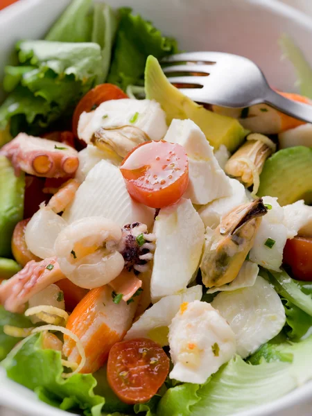 Karışık deniz ürünleri mozzarella ve Avokado salatası — Stok fotoğraf