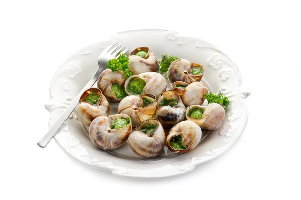 Bourguignonne snail- lumache alla bourguignonne — Stock Photo, Image