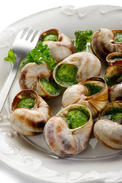 Bourguignonne snail- lumache alla bourguignonne — Stock Photo, Image