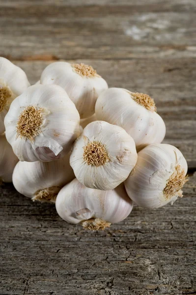 String of garlic — Stock Photo, Image